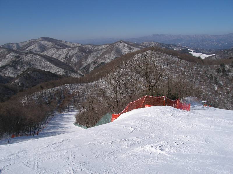 Original image