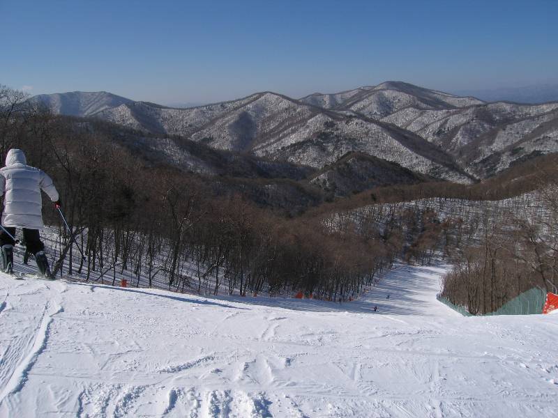 Original image