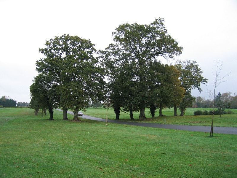 Original image