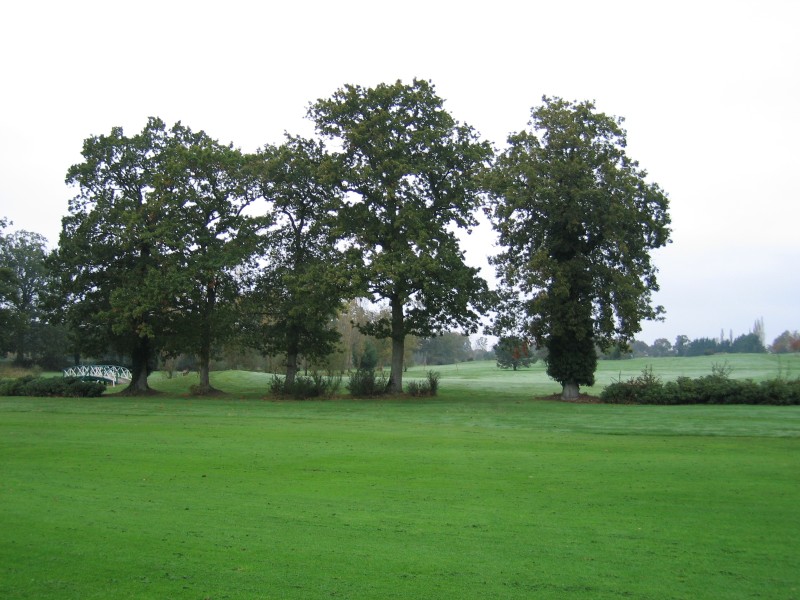 Original image