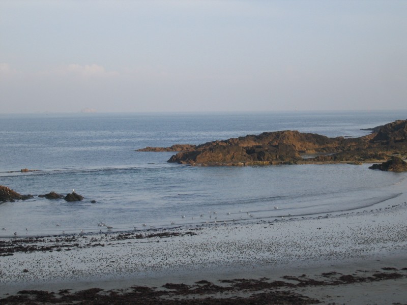 Original image