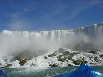 DSC00514