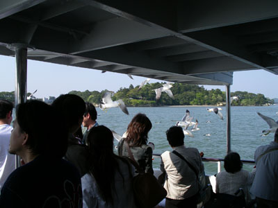 IMGP0788