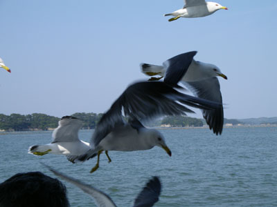 IMGP0790