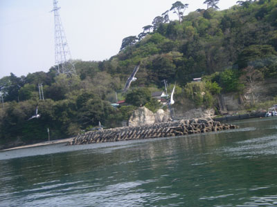 IMGP0804