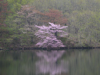 IMGP0871