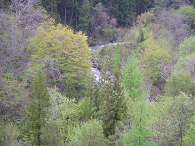 IMGP0887