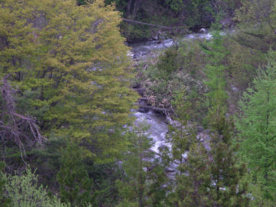 IMGP0889