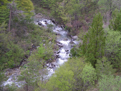 IMGP0892