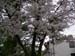 IMGP0922